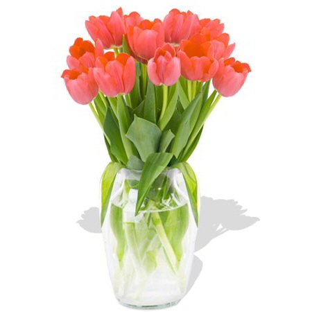 Tulipes d&#39;appel d&#39;offres