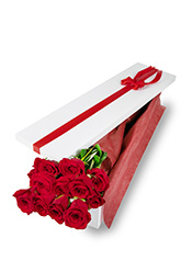 12 Long Stem Roses Presentation Box
